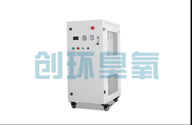 孝感工厂化养鲈必看:2026年臭氧发生器替代传统消毒的最新方案