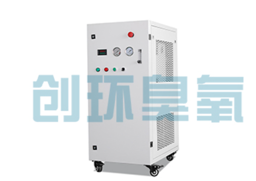孝感石斑鱼养殖水质调控完整指南:臭氧发生器配置与操作步骤