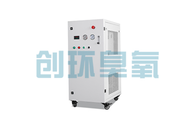 孝感比传统换水更高效?臭氧发生器在石斑鱼养殖中的水质净化原理解析