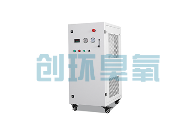 孝感比传统换水更高效?臭氧发生器在石斑鱼养殖中的水质净化原理解析